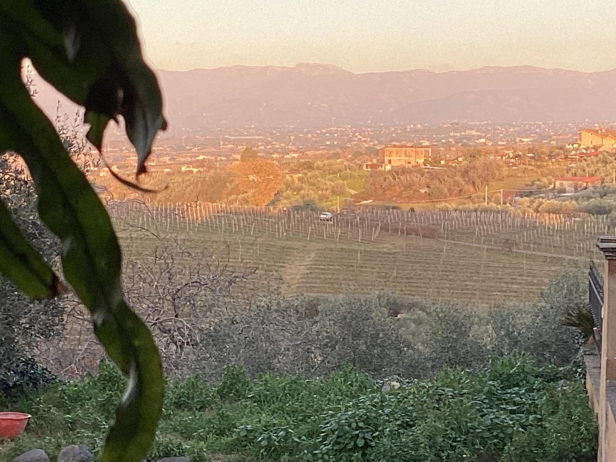 Locazione Turistica Dream House Marzia Villa Róma Kültér fotó